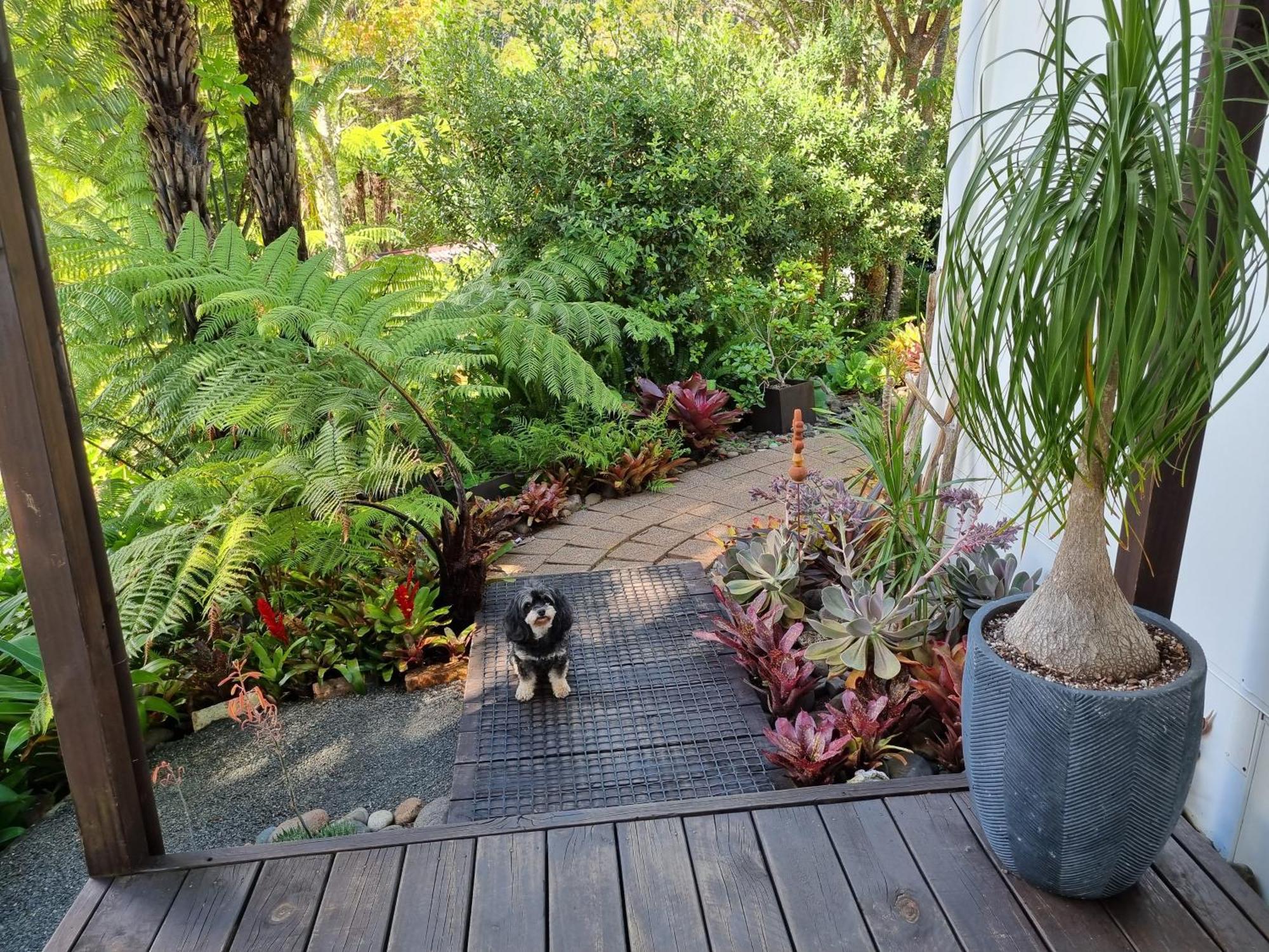 Вилла Coromandel Eco Sanctuary Экстерьер фото